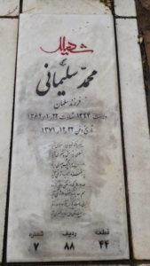 grave shahid