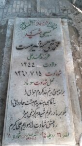 grave shahid