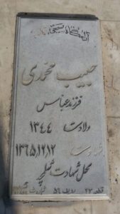 grave shahid