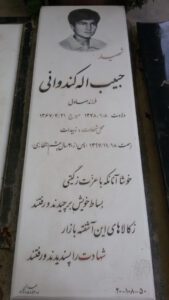 grave shahid